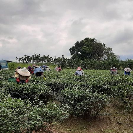 Dong Li Tea Homestay Жуйсуй Экстерьер фото