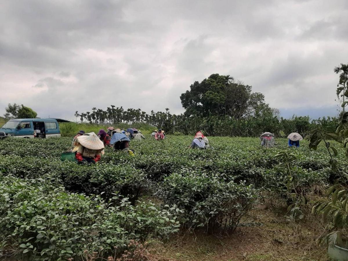 Dong Li Tea Homestay Жуйсуй Экстерьер фото
